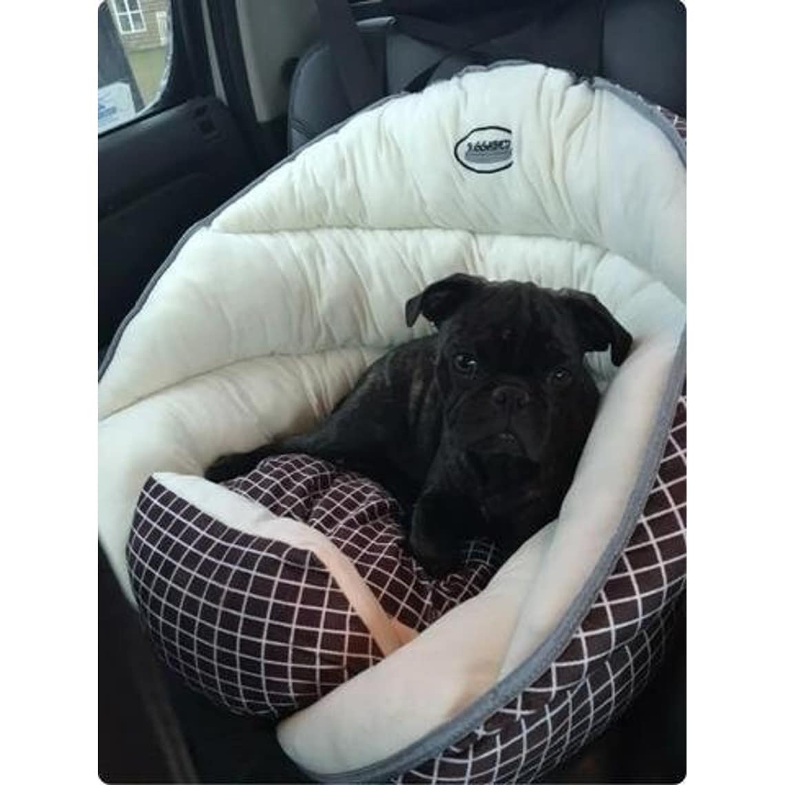 Bed bath and beyond dog shop car seat