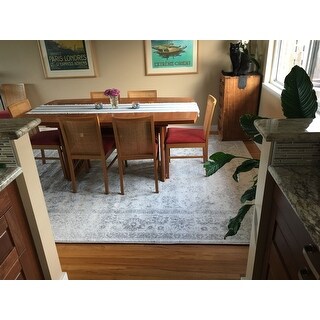 Safavieh Adirondack Dakota Distressed Vintage Boho Oriental Rug