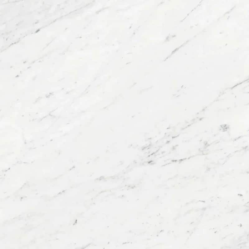 Regalia 12x12 White Porcelain Veining Wall and Floor Tile (13.56 sq ft/case) - 14 Pack