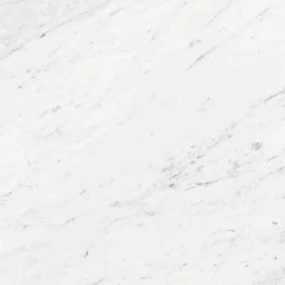 Regalia 12x12 White Porcelain Veining Wall and Floor Tile (13.56 sq ft/case) - 14 Pack