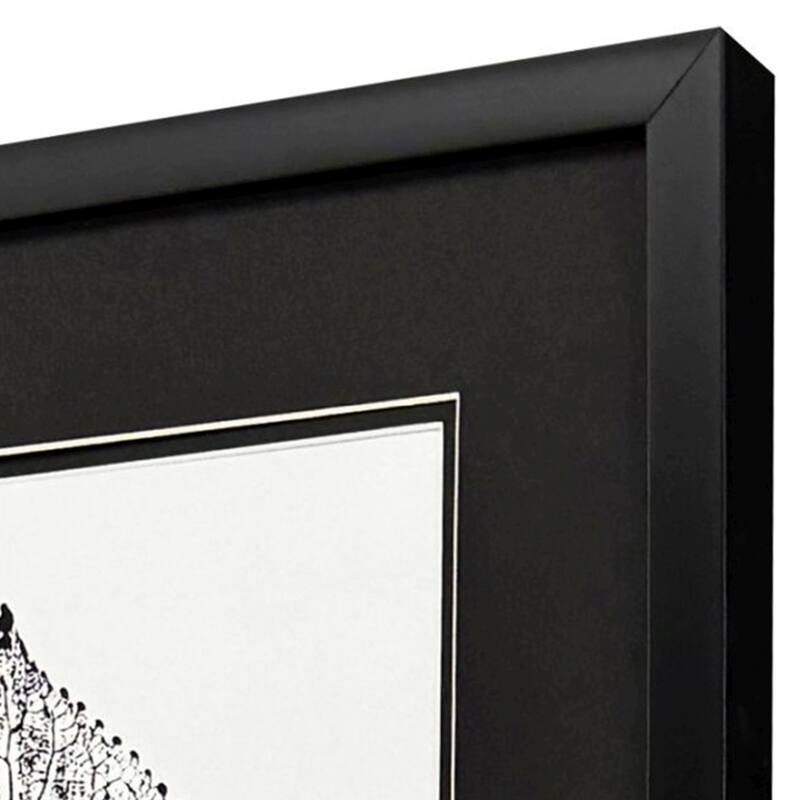 Paragon Black Print Leaf I Framed Art - Set of 2