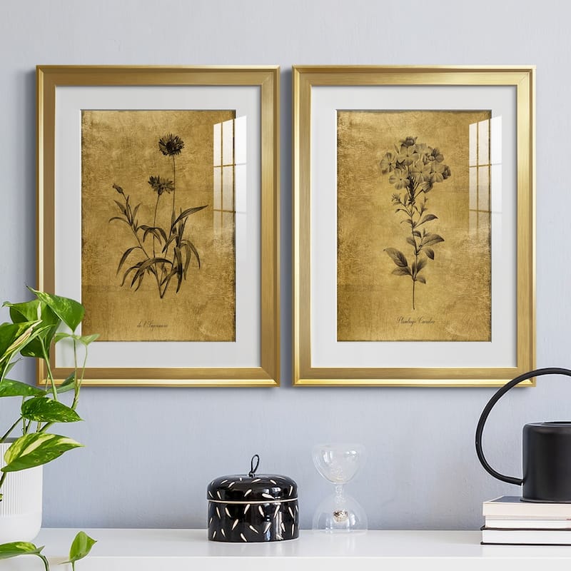 Gold Sketch Botanical I Premium Framed Print - Ready to Hang