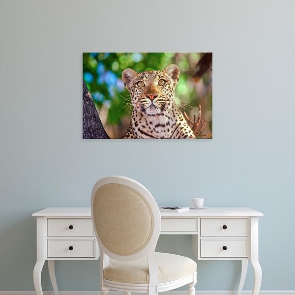 Easy Art Prints Connie Bransilver's 'Okvango Delta Wild Leopard' Premium Canvas Art