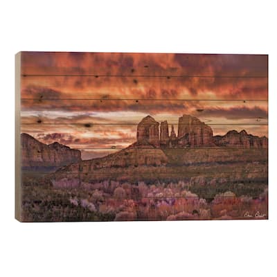 Pink Morning Glory IV Print On Wood by David Drost - Multi-Color