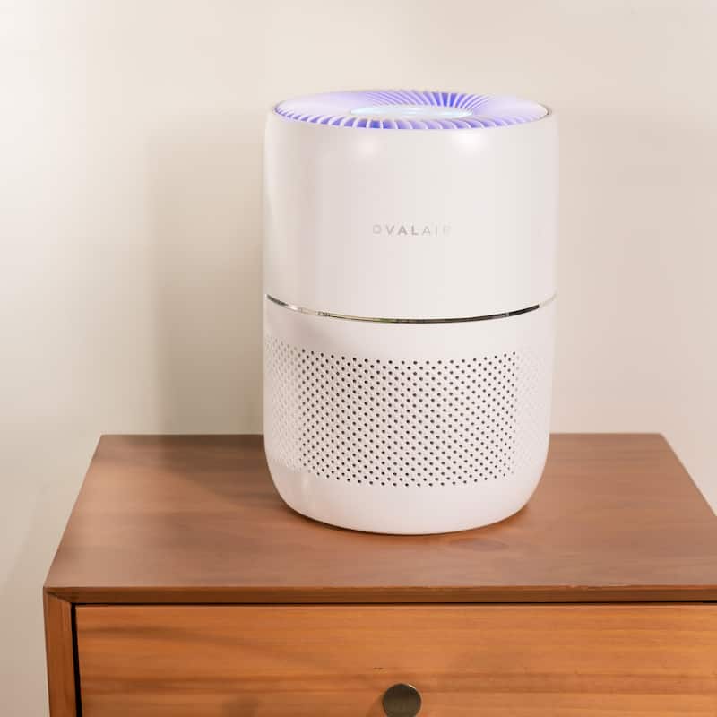 OVAL AIR 3-Stage H13 Smart True HEPA Desk Air Purifier for Rooms up to 150 sq. ft. reduces Allergies, Asthma, Pets, Odor, White
