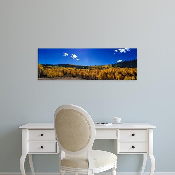 Easy Art Prints Panoramic Images's 'Aspen trees with mountain range in the background, Colorado, USA' Canvas Art