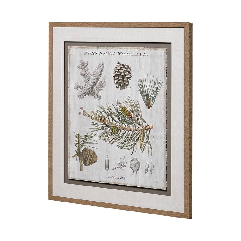 Woodland Chart III Framed Art Print