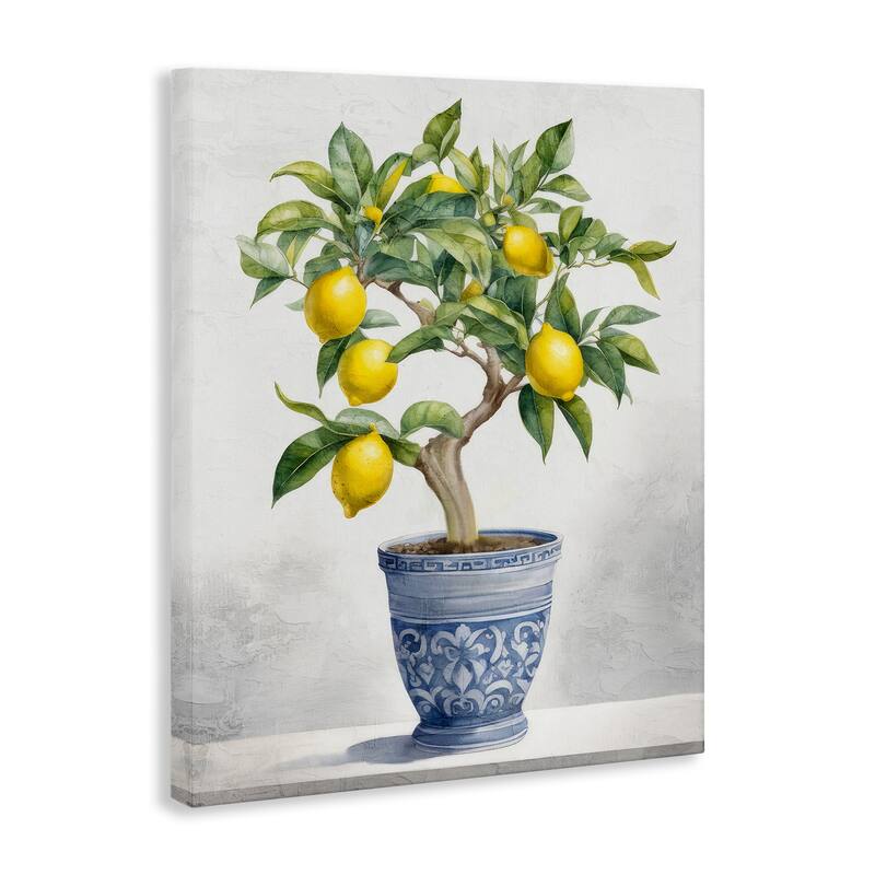 Stupell Traditional Potted Lemon Tree Canvas Wall Art Design By Kim Allen