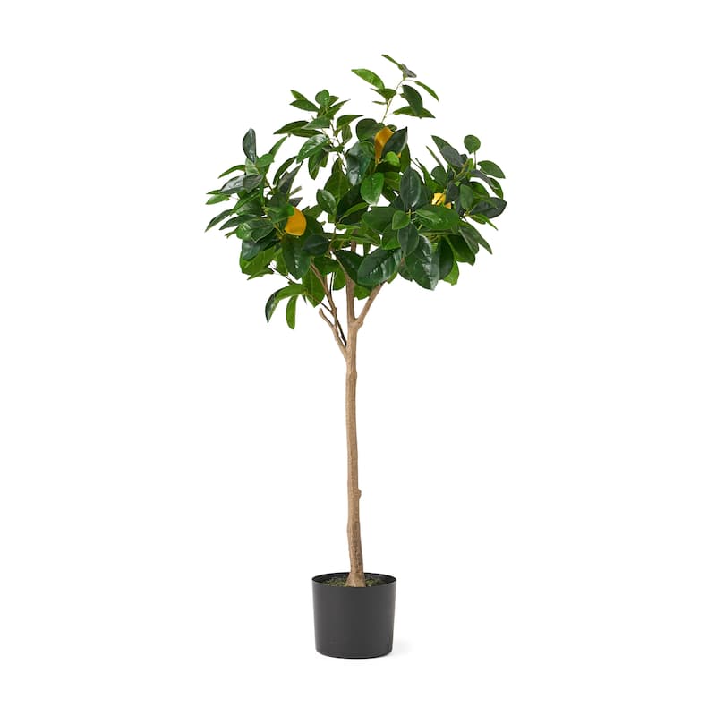 Wallowa Artificial Tabletop Lemon Tree by Christopher Knight Home