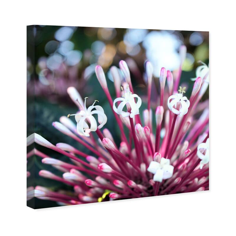 Wynwood Studio Canvas Floral and Botanical Spring Flower White and Violet Modern & Contemporary Wall Art Canvas Print