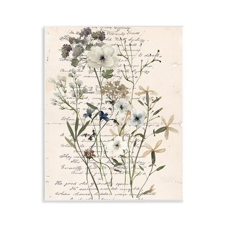 Stupell Vintage Pressed Flowers Wall Plaque Art Design By Carol Robinson