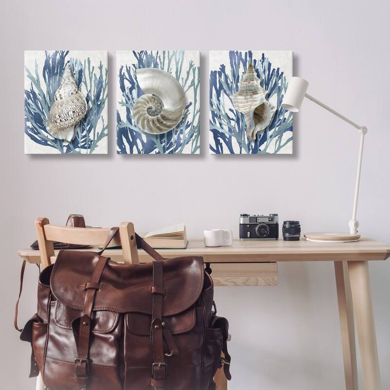 Stupell Trio of Shell Coral Blue Beach Design, 3pc Multi Piece Canvas Wall Art Set
