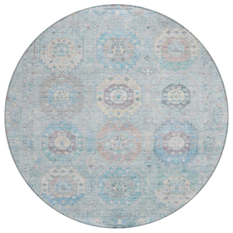 Machine Washable Indoor/ Outdoor Vintage Traditional Chantille Rug