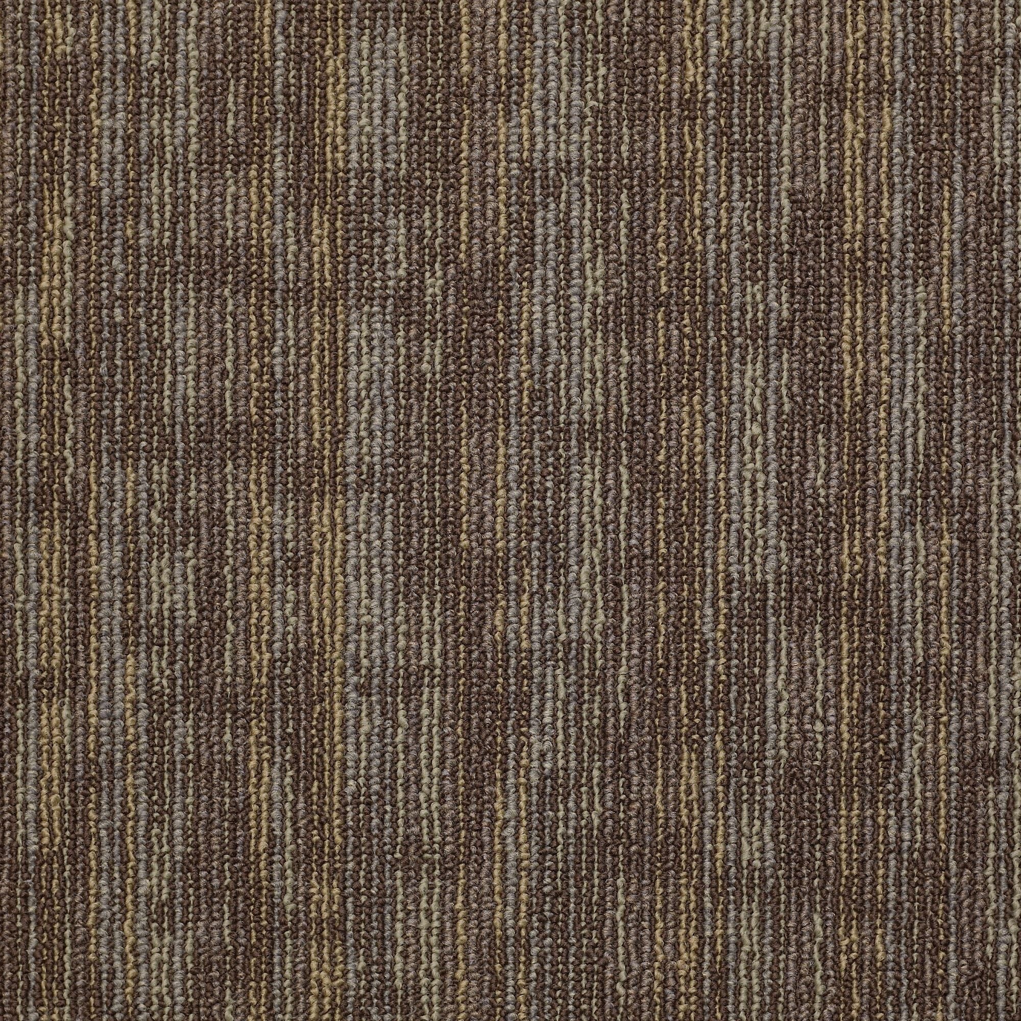 Shaw Philadelphia Commercial Hook up 24" x 24" Glue Down Carpet Tile -
