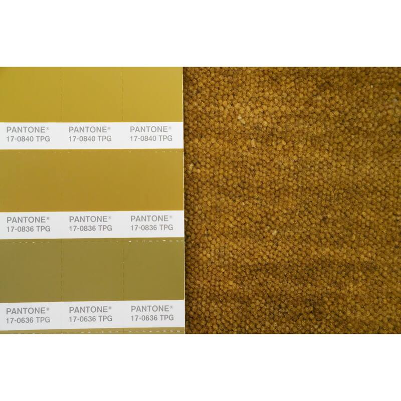 Hand Knotted Oriental 100% Wool Carpet Tribal Animal Pictorial Yellow & Gold Gabbeh Area Rug - 3' 0'' X 2' 0''