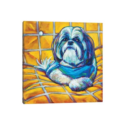iCanvas "Shih Tzu" by Robert Phelps Canvas Print