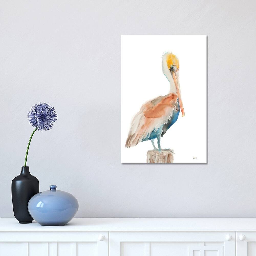 iCanvas "Pelican I" by Patti Mann Canvas Print