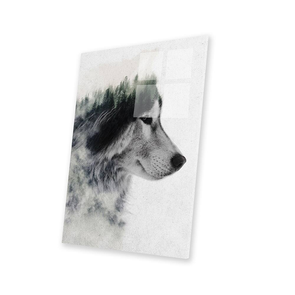 Wolf Stare Print On Acrylic Glass by Andreas Lie - Bed Bath & Beyond ...