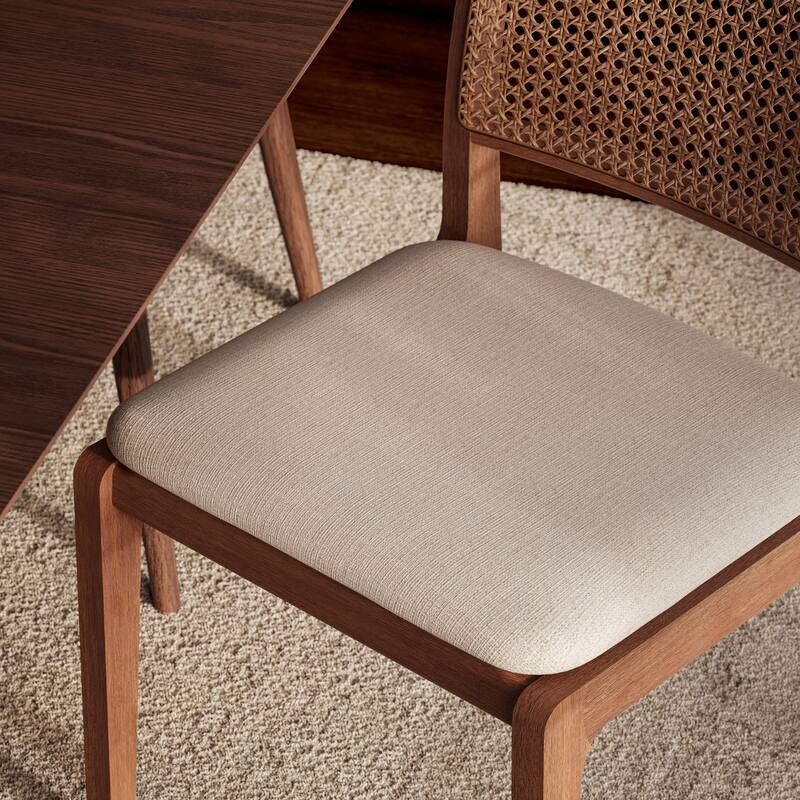 Modern Brazilian - Larissa Side Chair