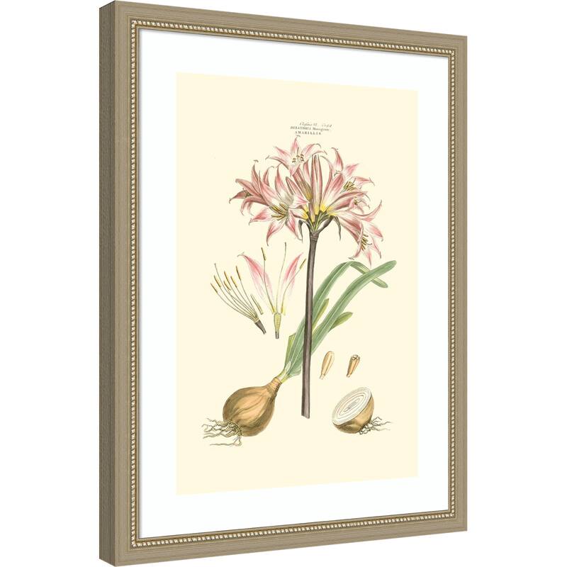 Small Blushing Pink Florals No. 2 by John Miller Wood Framed Wall Art Print