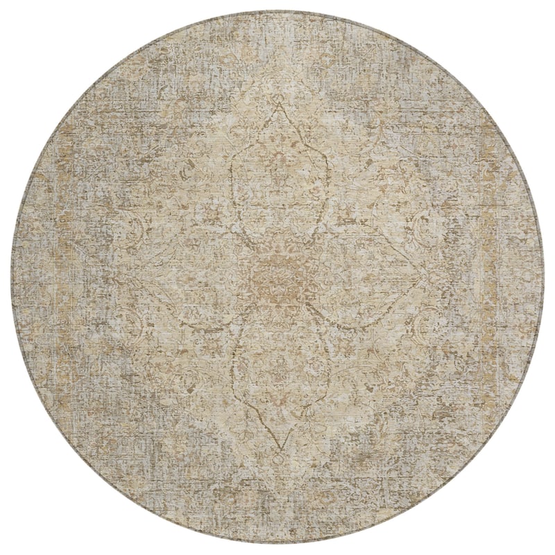 Machine Washable Indoor/Outdoor Traditional Global Chantille Rug