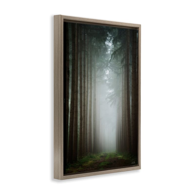 Stupell Moonlight Through Dark Forest Framed Floater Canvas Wall Art Design By Martin Podt