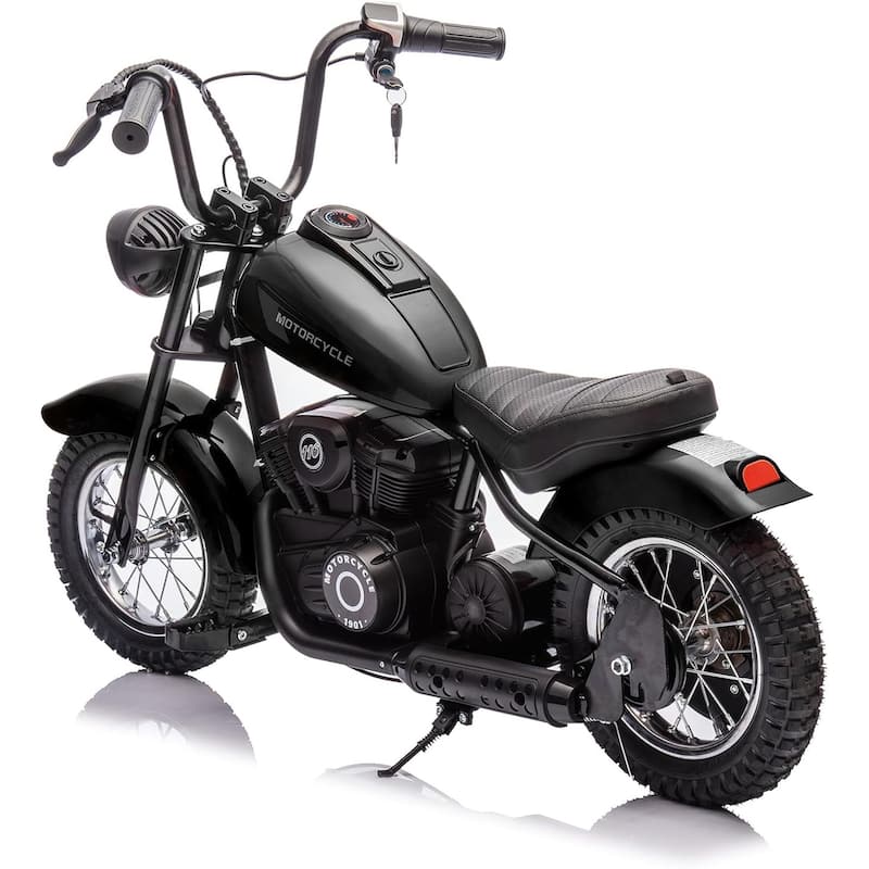 Electric Motorcycle for Kids, 24V 250W Kids Electric Dirt Bike