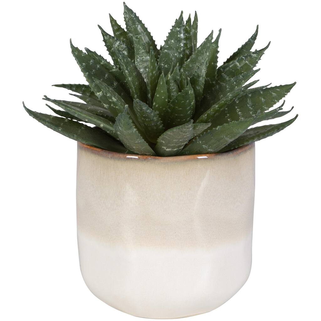 Uttermost 60213 Doha 10-1/2" Tall Ceramic Faux Flora Planter - Beige