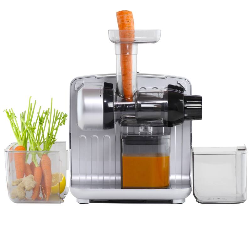 Omega Cold Press 365 Masticating Slow Juicer and Nutrition System with On-Board Storage - Silver