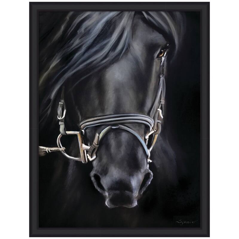 Kate and Laurel Ebony Splendor by Mary Sparrow Framed Wall Art Print - 33 x 43 - Black