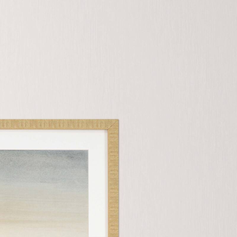 Sable Island S/3 Framed Art Under Glass - Grey