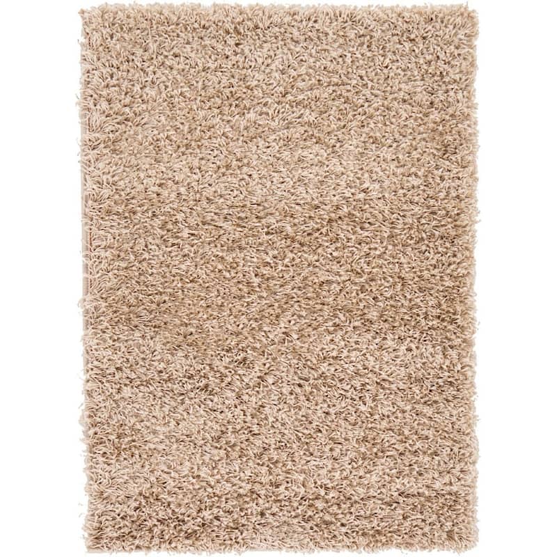 Shag Laurian Collection Area Rug