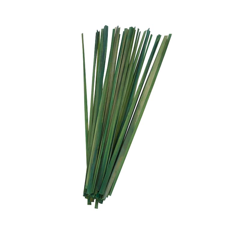Dried Hogla Babala Bamboo Natural Foliage Collection - Multiple Colors