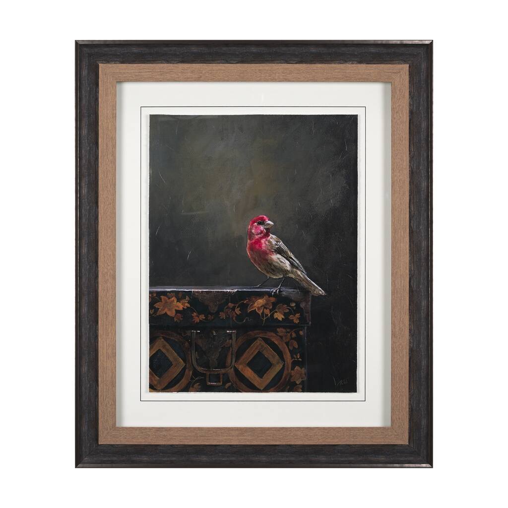 Graceful Poise I (House Finch) Framed Art Print