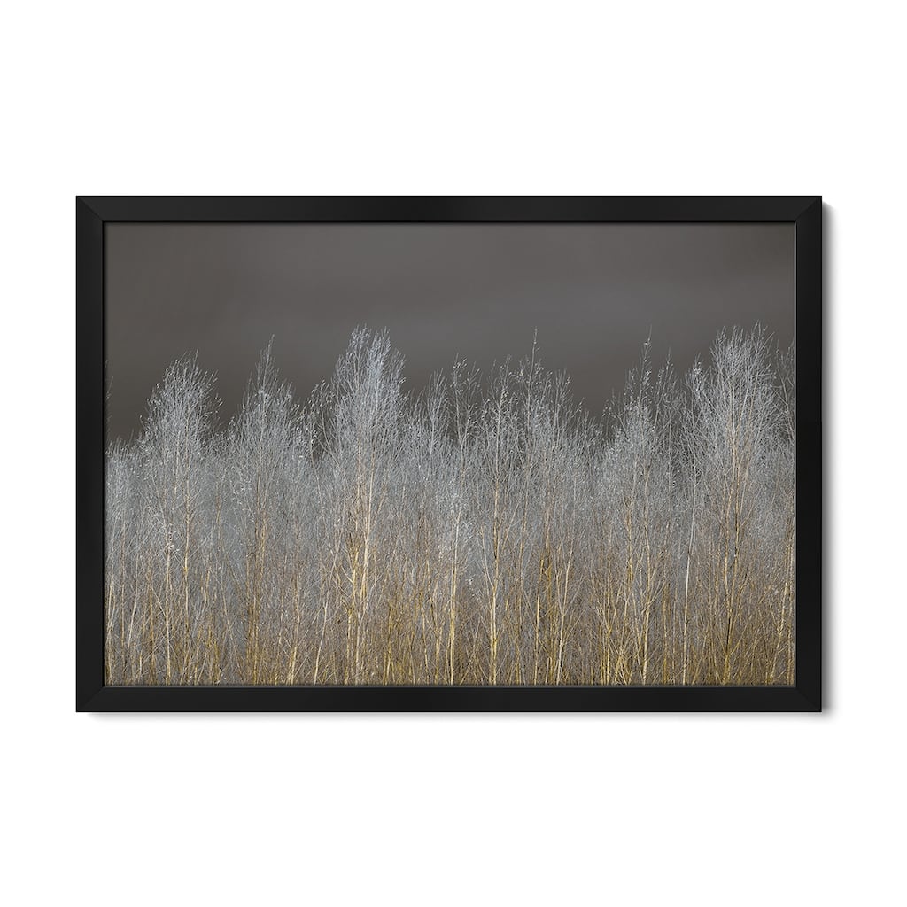 Silver Forest Premium Framed Poster by Assaf Frank