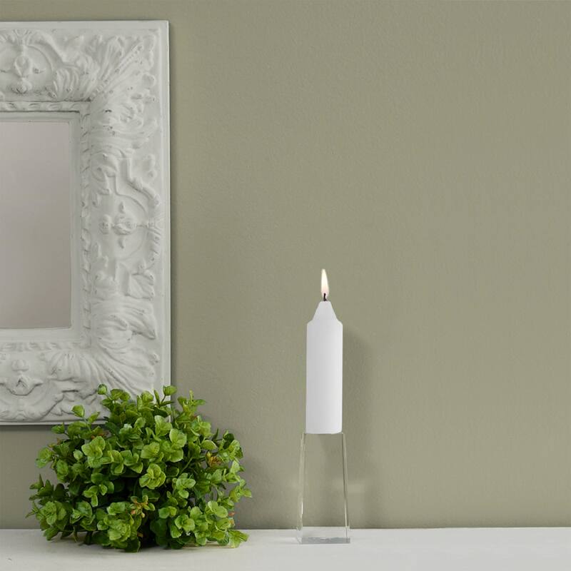 Root Unscented 5 In. Timberline™ Collenette Taper Candles box of 8 - 5 X 1-1/4