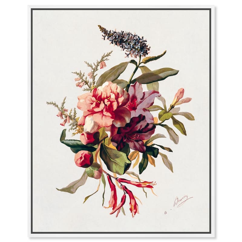 Winter-Flowering Plants Canvas by Art Remedy - White - 20" x 24"