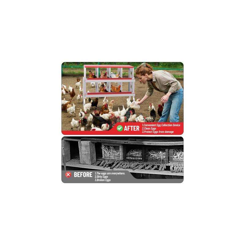 Chicken Nesting Box Nesting Boxes