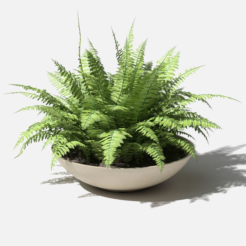 Veradek Pure Series Lane Bowl