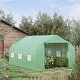 Greenhouses that Match Agfabric Weed Barrier with Holes Landscape PP Woven Weed Block, 3.0oz