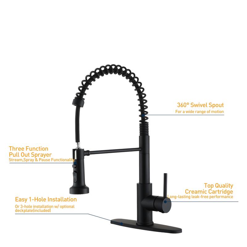 Pull-Out Kitchen Faucet with Flexible Spray Head