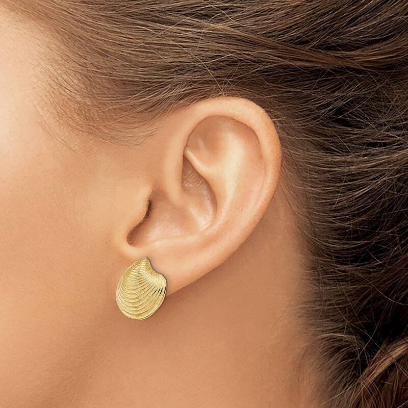 Curata 14k Yellow Gold Textured Clam Shell Post Earrings - 16.05x16.8mm
