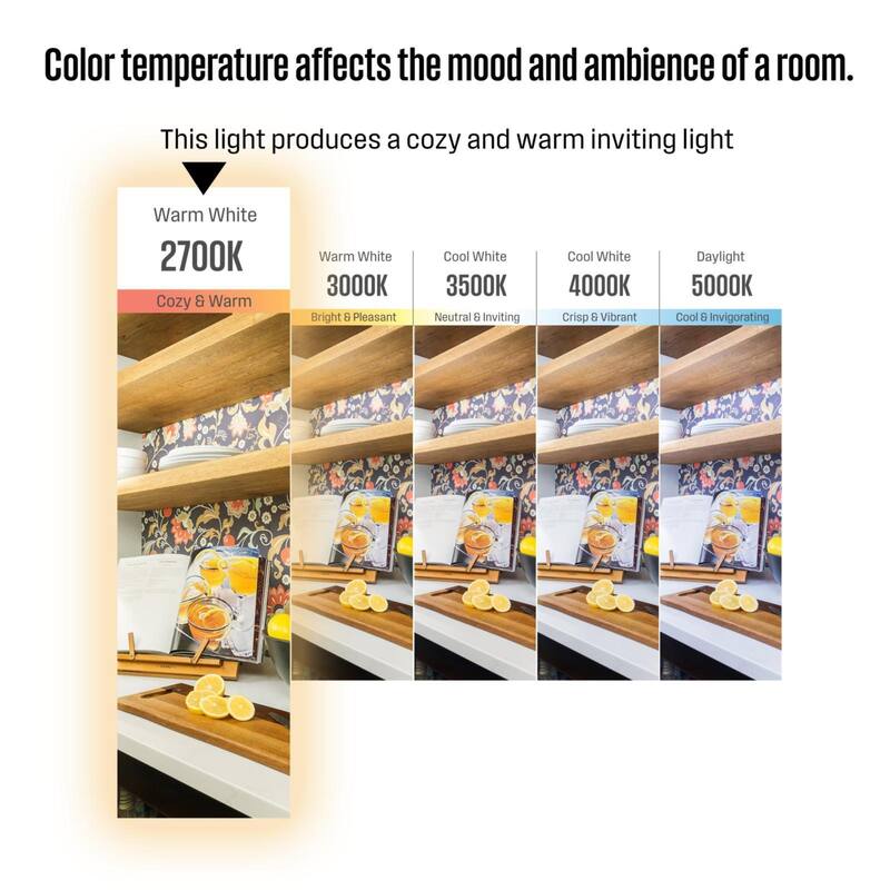 Westinghouse Lighting 4.5 Watt (60 Watt Equivalent) Frosted B11 Dimmable Filament LED Light Bulb, Medium Base, 6 Pack