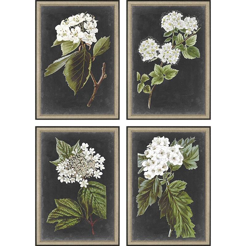Dramatic White Flower S/4 Framed Art Giclee Under Glass