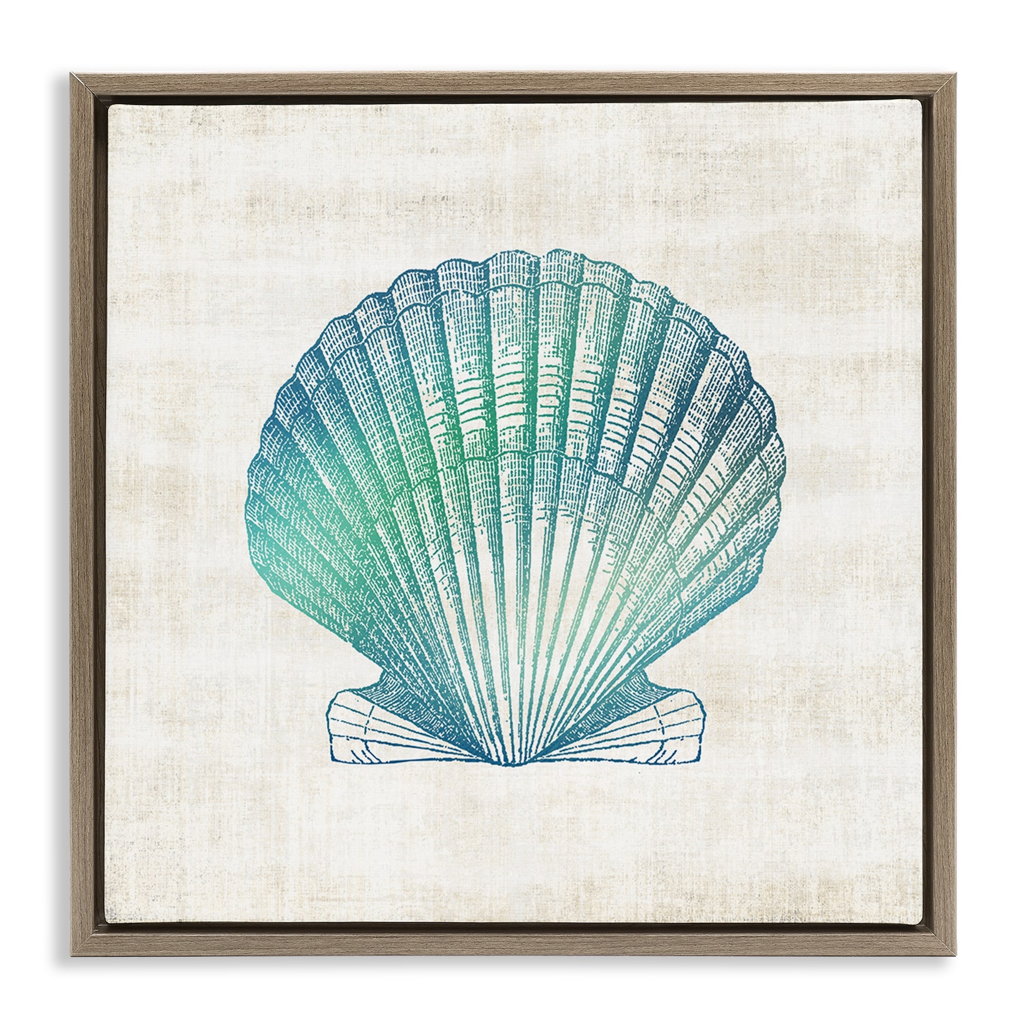 Stupell Gradient Clam Seashell Framed Floater Canvas Wall Art Design By Susan Arnot