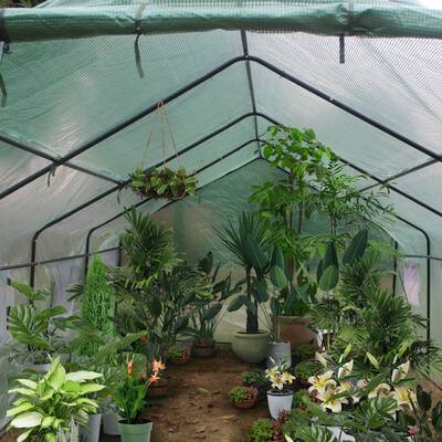 Greenhouse Gardening Spiked Tent - 20ftx10ftx7ft