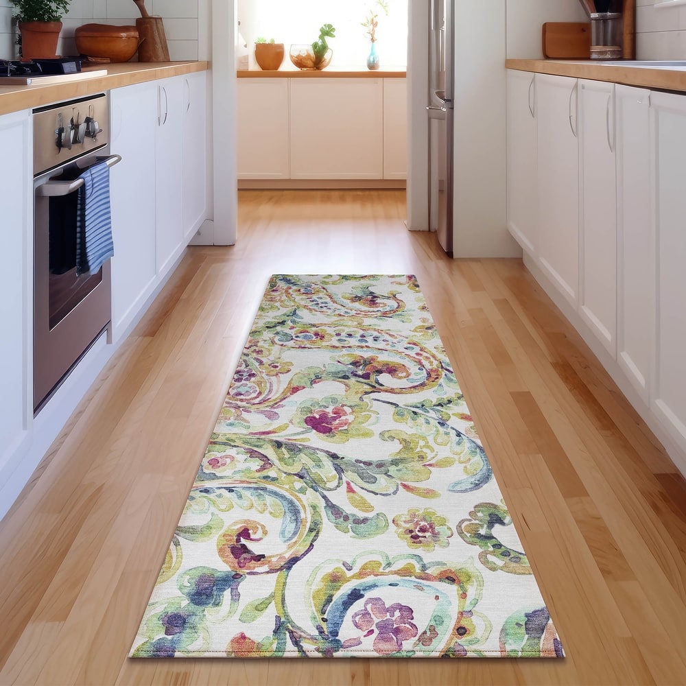 Premium Washable Super Soft Paisley Mayfield Rug