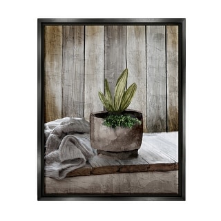 Stupell Potted Plant Still Life Framed Floater Canvas Wall Art Design ...