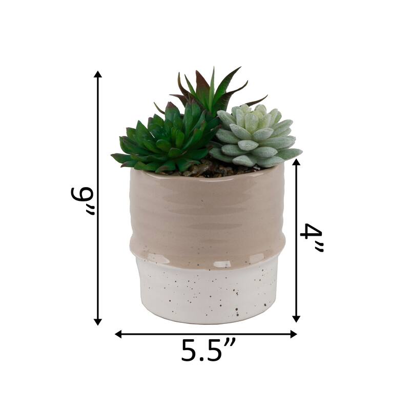 Artificial Plant Succulent Mix in Two Tone Ceramic Planter,Cream/Beige - ONE-SIZE