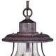 preview thumbnail 9 of 7, Dockside 1 Light Bronze Coastal Outdoor Lantern Pendant Clear Glass - 8-in W x 14.75-in H x 8-in D